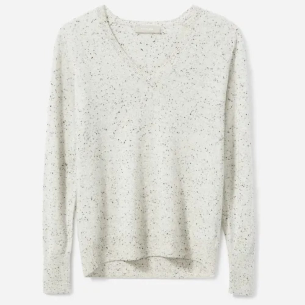 Everlane V Neck Cashmere Sweater euc